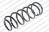 ROC CS8137 Coil Spring